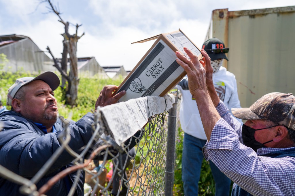 a box of food is passed over a metal fence from a volunteer to a farmworker.